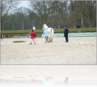 Image au hasard