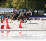 AT Compiegne octobre 08-3.jpg