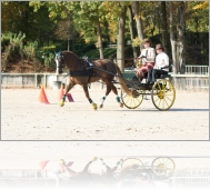 AT Compiegne octobre 08.jpg