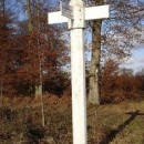 Lundi de Pâques : Balade en forêt de Compiègne